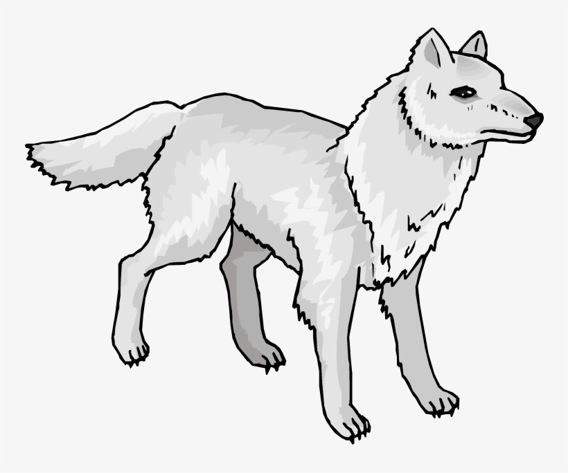 Head Clipart Arctic Wolf Pencil And In Color Head Clipart - Arctic Wolf Clipart, transparent png #1442328