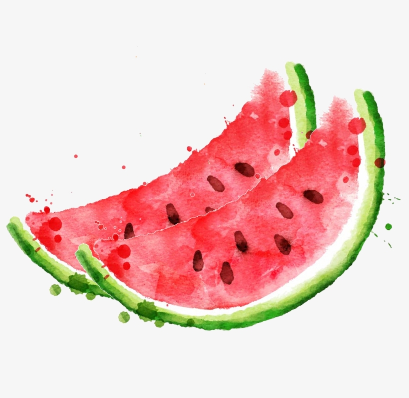 Royalty Free Stock Photography Clip Art Royaltyfree - Watercolor Watermelon Vector, transparent png #1442848