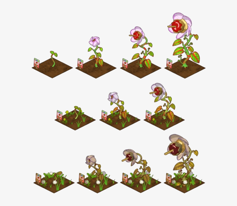 Gardening Webkinz Insider Wiki Imagecaramel Growing - Growing Pumpkins, transparent png #1443128