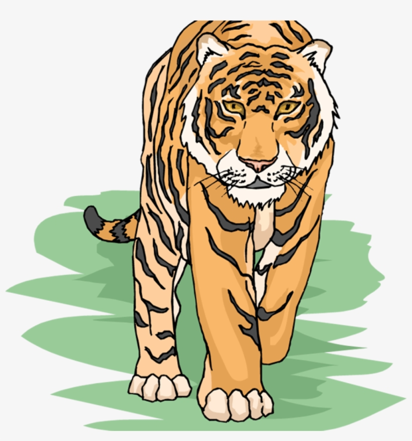 Free Tiger Clipart Snowflake Clipart Hatenylo - Tiger Clipart Png, transparent png #1443273