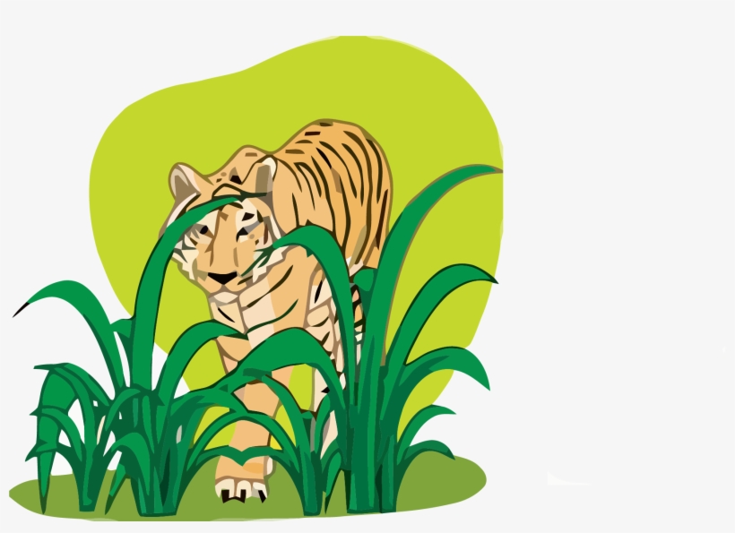 Tiger Clipart Png - Clip Art, transparent png #1443589
