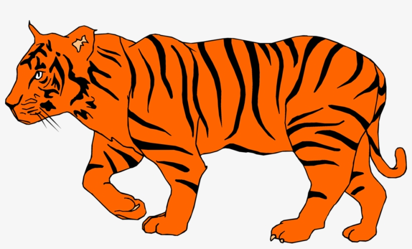 Illustration Of A Tiger, transparent png #1443620