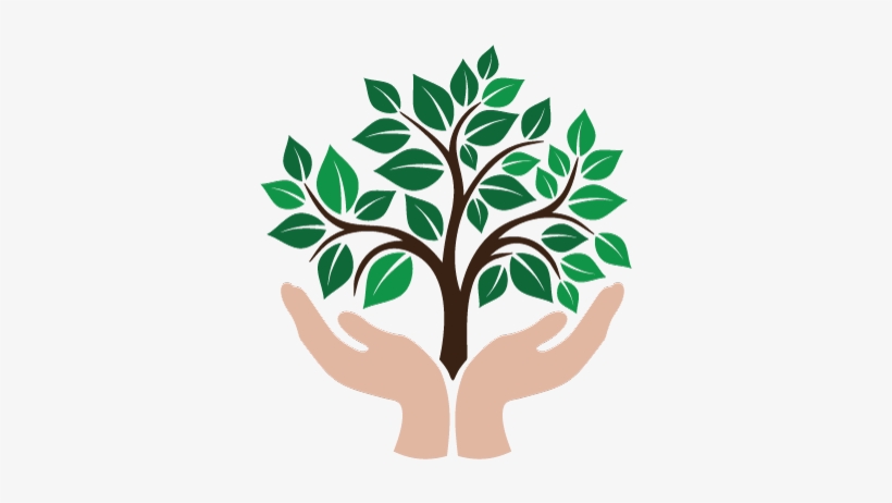 Growing Plant Clipart - Tree With Hand Vector, transparent png #1444492