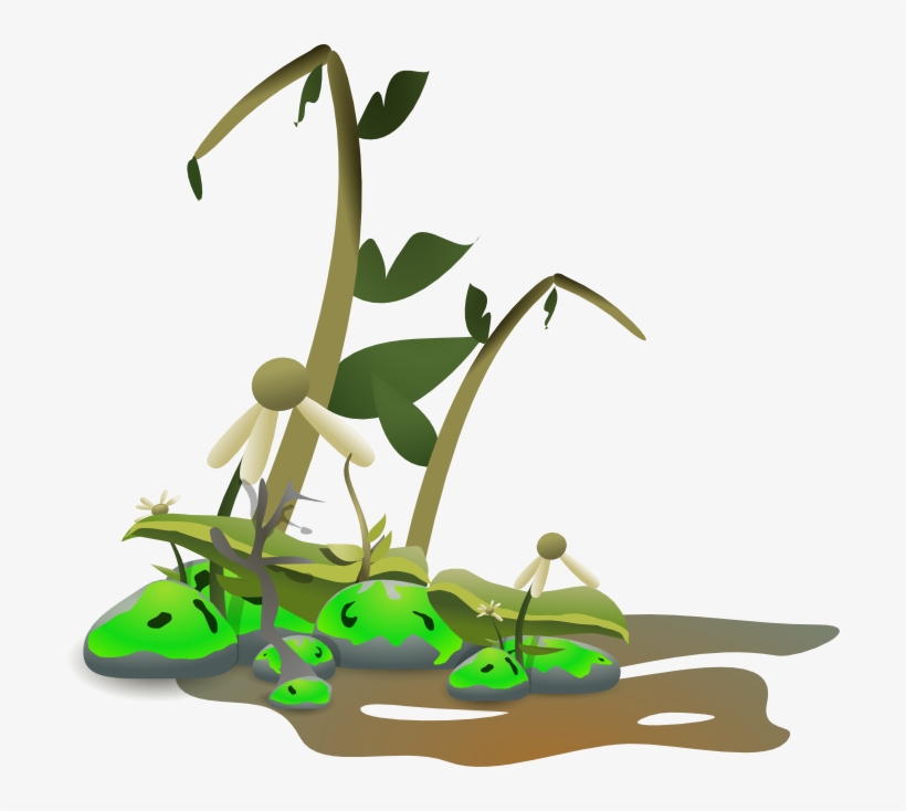 Dying Plant Clipart, transparent png #1444548