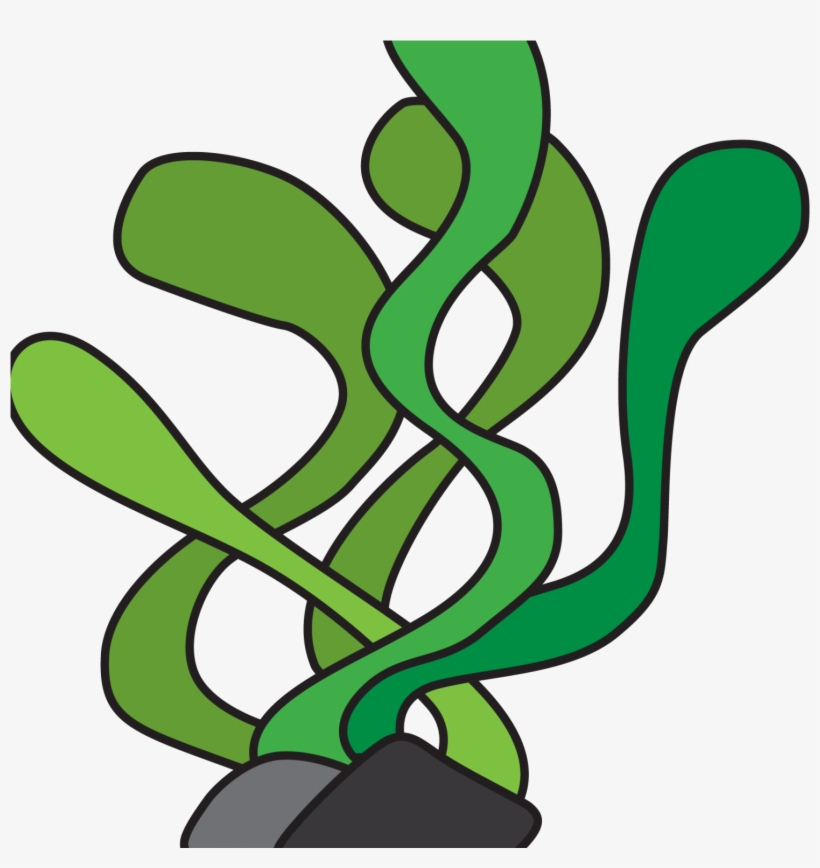 Underwater Plants Clipart At Getdrawings, transparent png #1444918