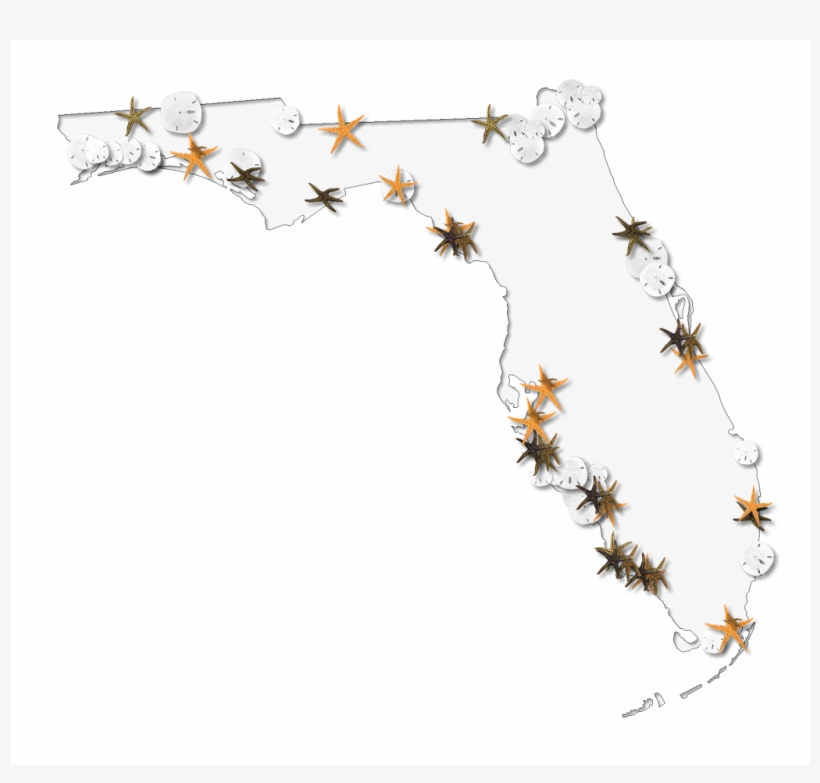 Dollar Clip Art Outline Great With Elegant - Florida Could You Find Sand Dollars Map, transparent png #1445436