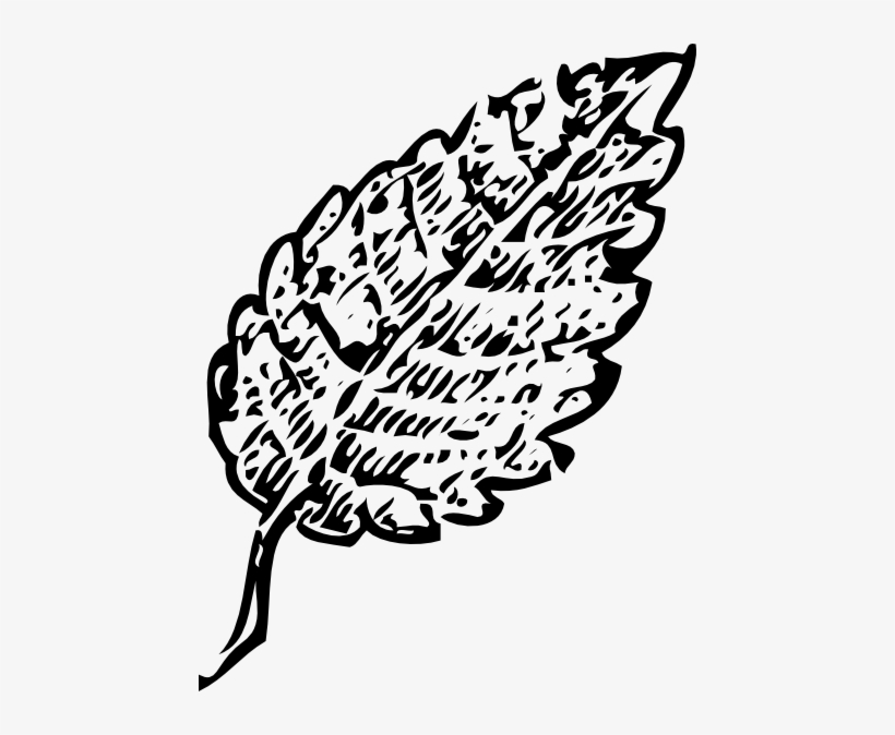 Outline Leaf Svg Clip Arts 456 X 594 Px, transparent png #1445998