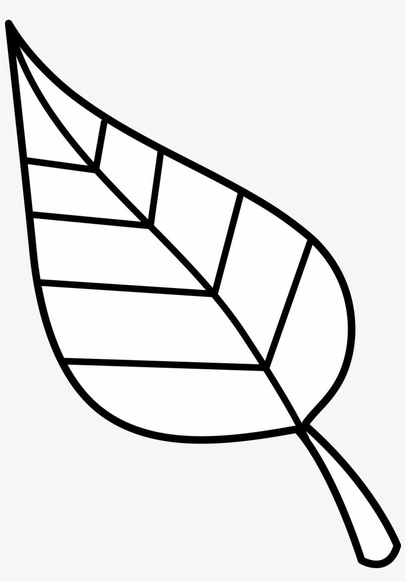 Use These Free Images For Your Websites Art Projects - Clip Art, transparent png #1446168