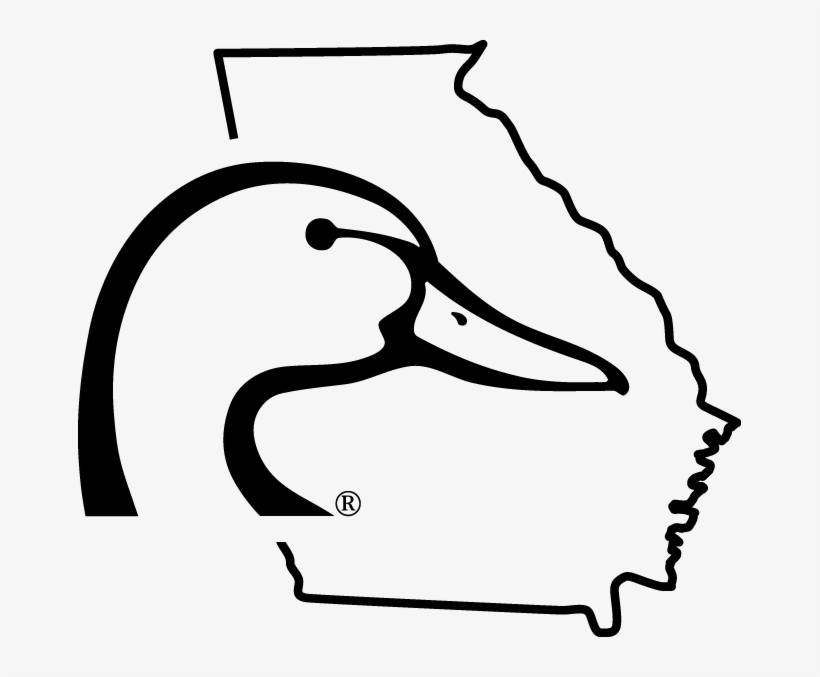Georgia Ducks Unlimited Calendar Raffle - Ducks Unlimited Georgia, transparent png #1446676