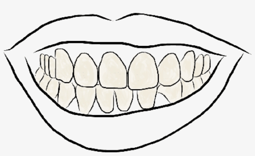 Drawing Teeth Smile - Outline Image Of Teeth, transparent png #1446856