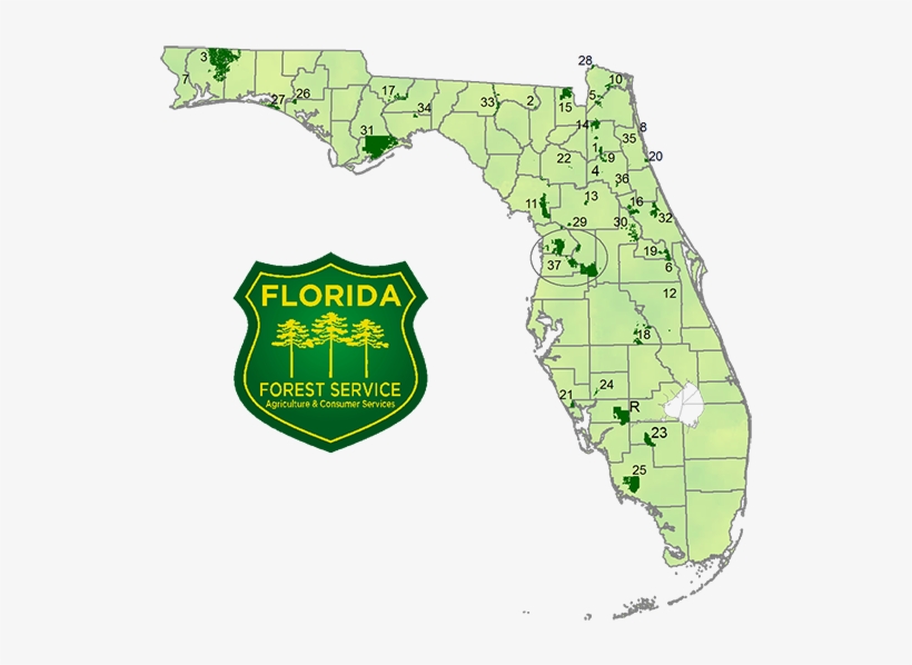 National Forest Map Florida, transparent png #1447032