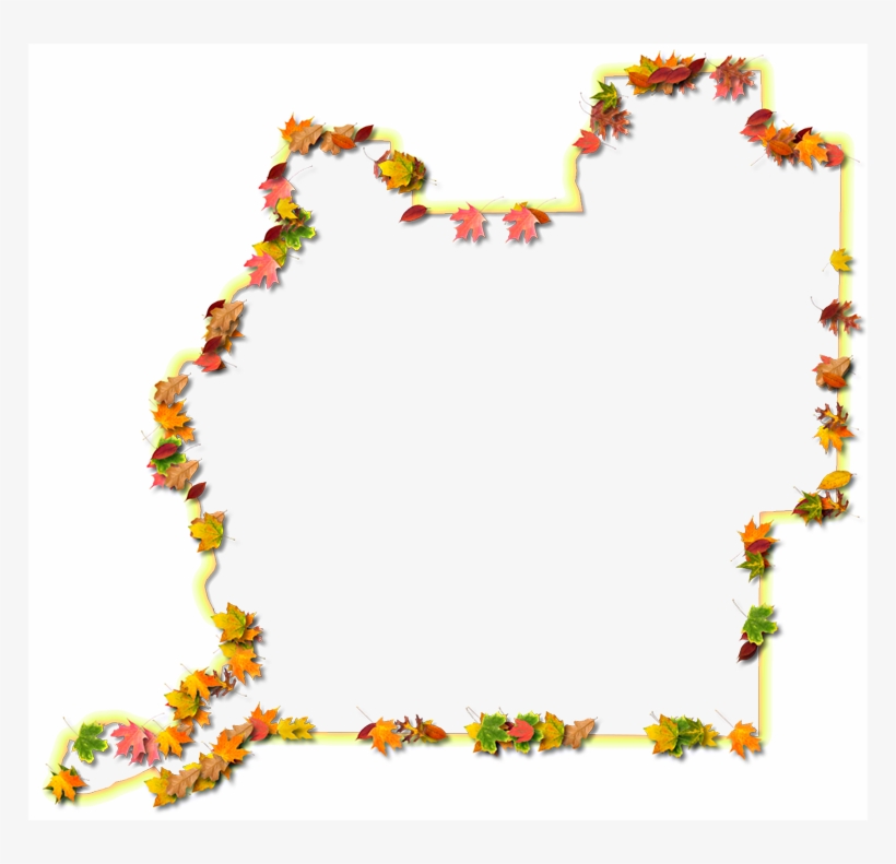 A Yellow And Orange Outline Map Of Washington With - Floral Design, transparent png #1447339