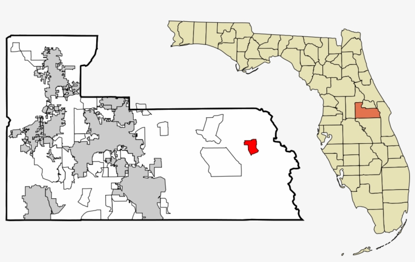 Tangerine County Florida, transparent png #1447869
