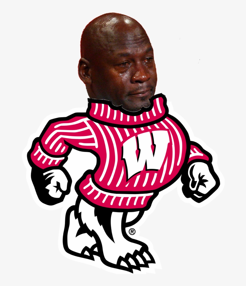 Saydhgb - Transparent Wisconsin Badgers Logo, transparent png #1448872