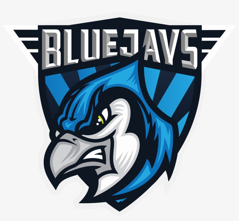 Go Pro - Blue Jays Team Logos, transparent png #1449011