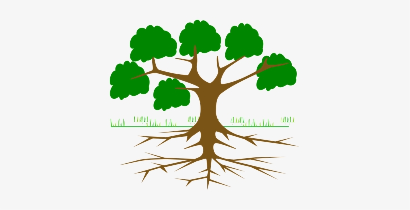 Tree Branches Root Eco Ecology Nature Plan - Arbol De Problemas Para Llenar, transparent png #1450276