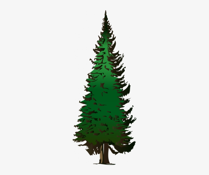 Pine Tree Png Clip Art - Fir Tree Clip Art, transparent png #1450357