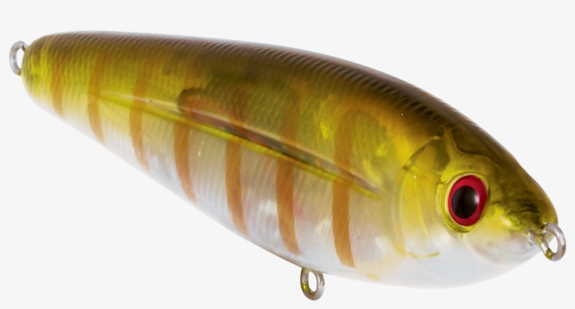 School Master - School, transparent png #1450400