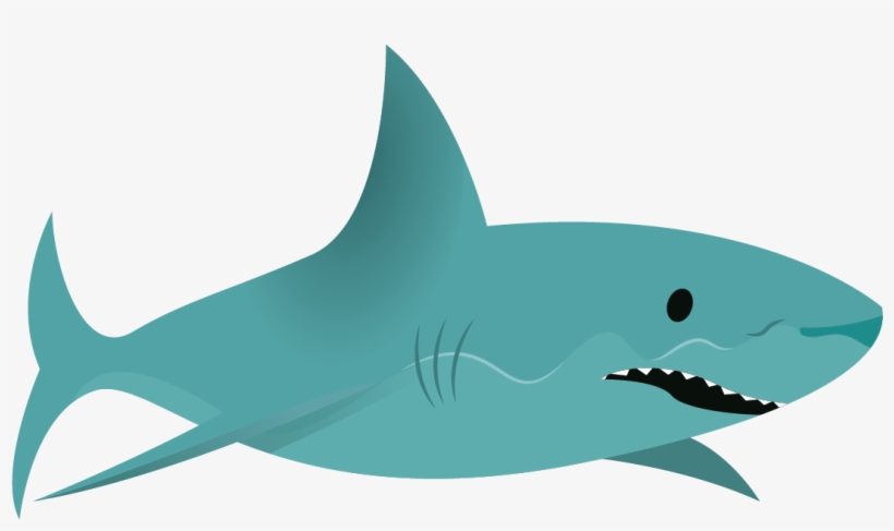 Shark - Squaliformes, transparent png #1450941