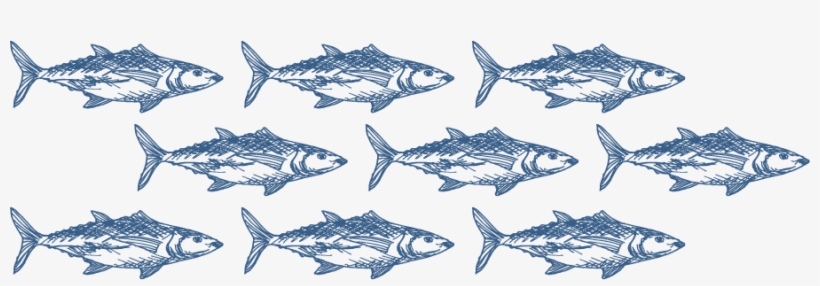 Salads - Fish, transparent png #1451070