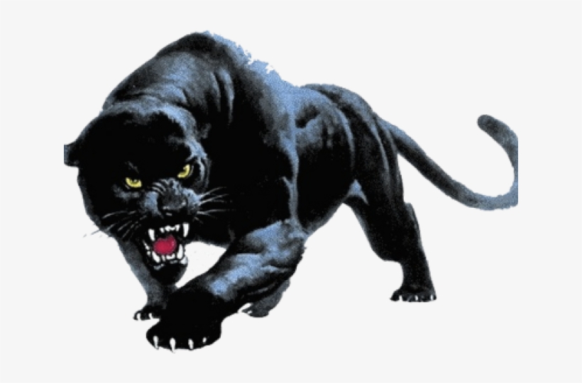 Black Panther Png Transparent Images - Devon Meadows Football Club, transparent png #1452185