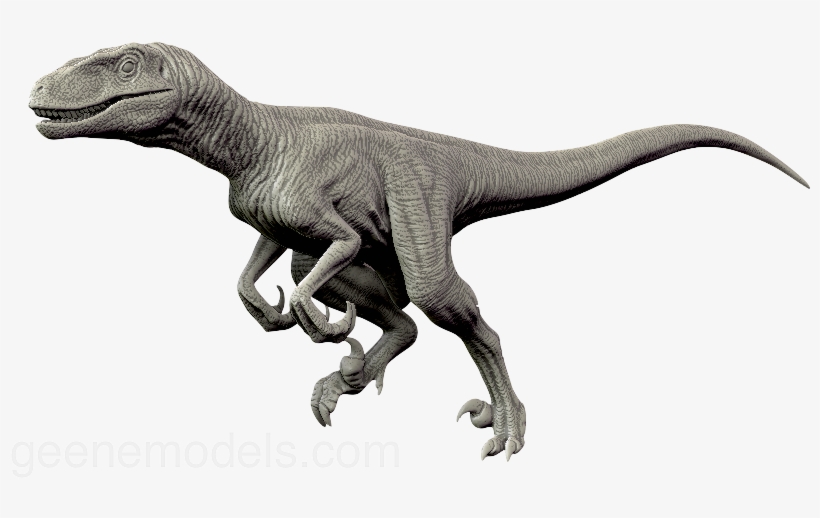 Velociraptor Png Transparent - Raptor Dinosaurs, transparent png #1452239