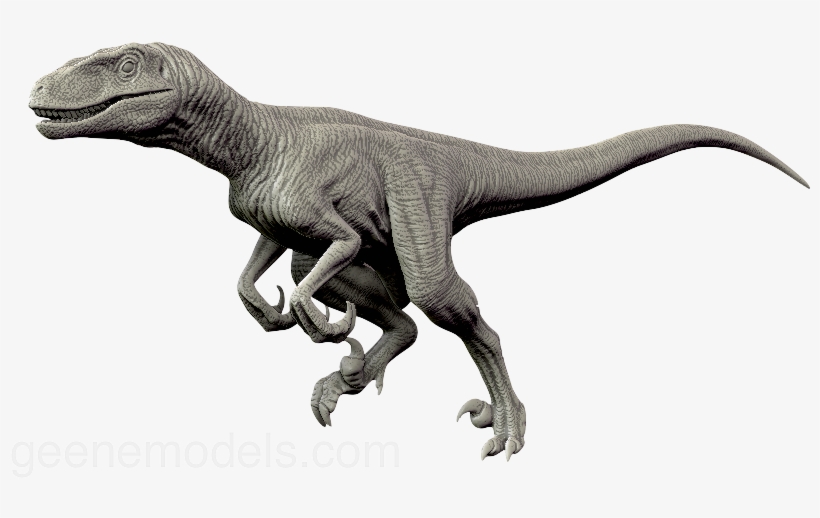 Velociraptor Png Transparent - Raptor Dinosaurs - Free Transparent PNG ...