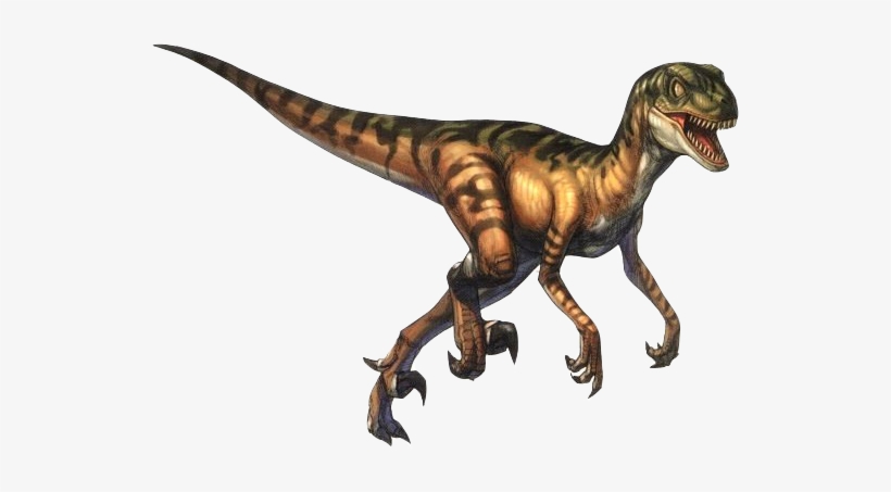 Piccolo, Veloce, A Sangue Caldo E Piumato, Il Velociraptor - ディノクライシス2 公式スターターブック [book], transparent png #1452313