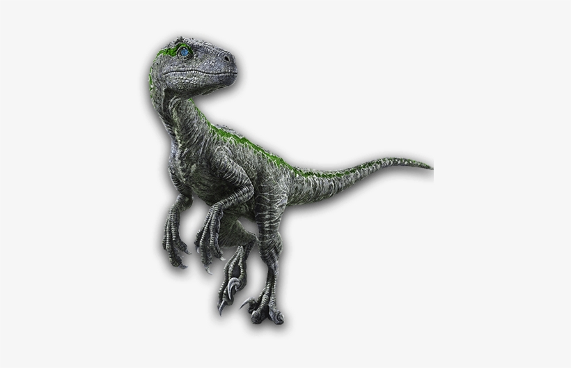 Jurassic World El Reino Caído Dinosaurios, transparent png #1452371