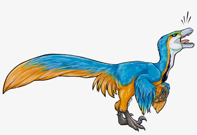 *parrot Noises* For @rotarr Her Lovely Parrot Raptor - Parrot, transparent png #1452530
