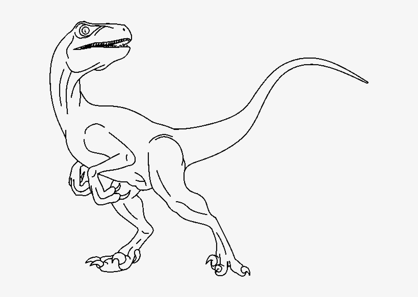 28 Collection Of Raptor Drawing Base - Raptor Drawing, transparent png #1452670