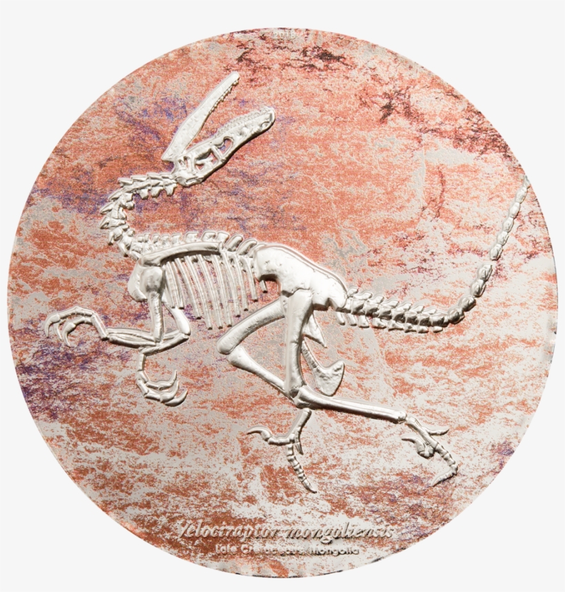 Velociraptor - Velociraptor Coin Mongolia, transparent png #1452848