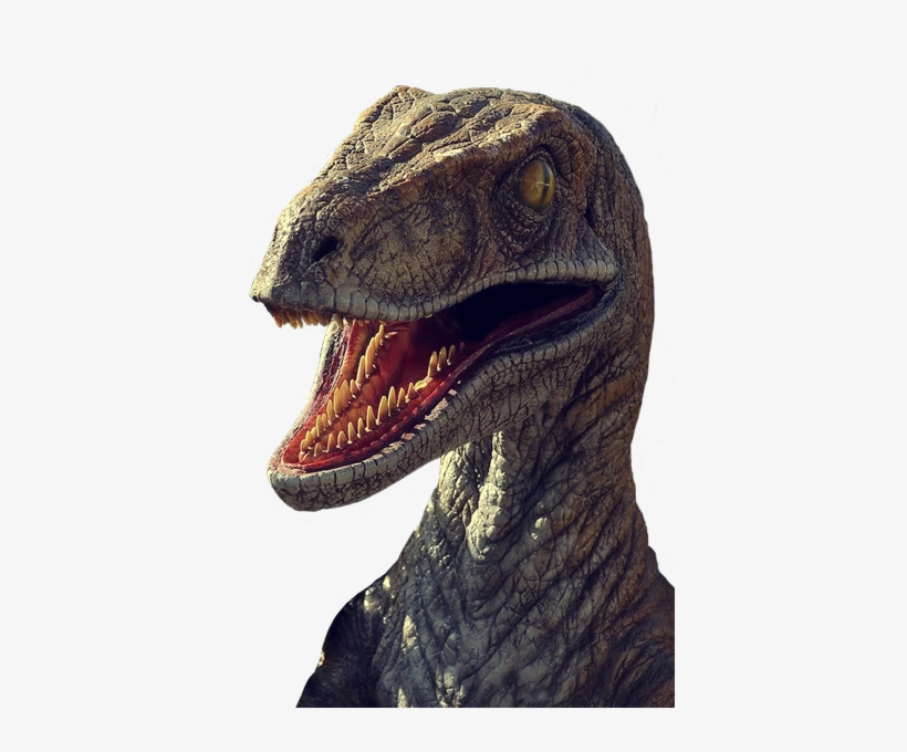 Column - Raptor - Velociraptor Jurassic Park, transparent png #1452879