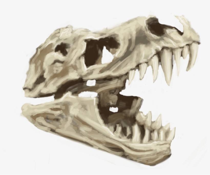 Pledge $100 Or More Per Month - Skull, transparent png #1452922