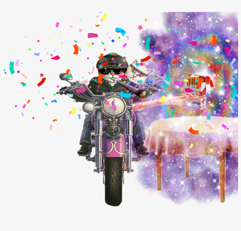 Biker Cat, transparent png #1453134