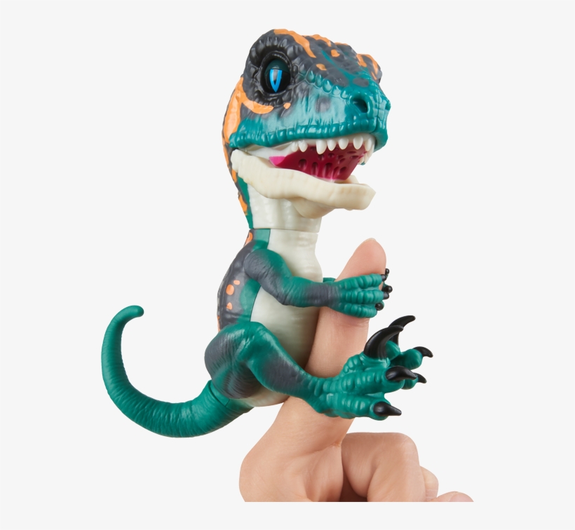 Part Of The Velociraptor Collection - Raptor Blue Baby, transparent png #1453139