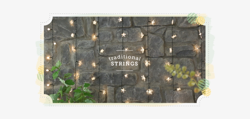 Traditional Fairy Lights Don't Need To Have Traditional - Commemorative Plaque, transparent png #1453476