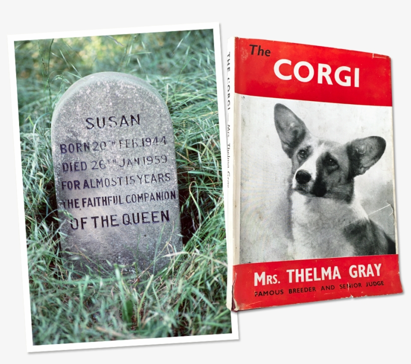 The Inside History Of Queen Elizabeth's Eight-decade - Pembroke Welsh Corgi, transparent png #1456631