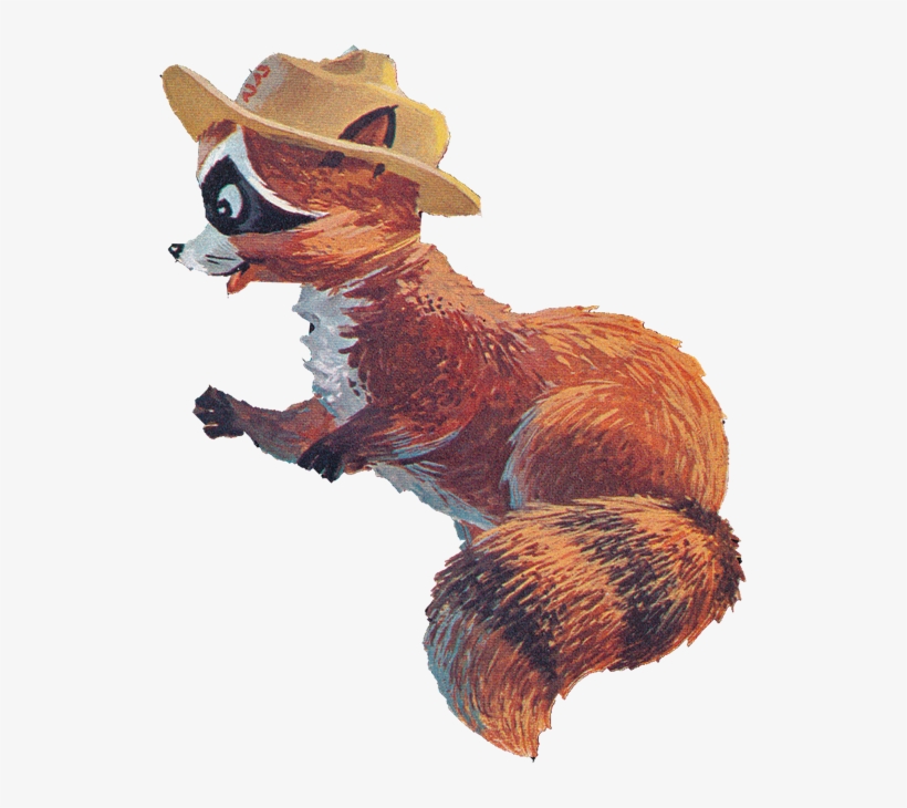 Who Would Have Thought Ranger Rick Would Literally - Punxsutawney Phil, transparent png #1456727