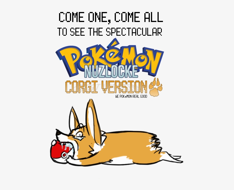 Hello My Friends Welcome To Corgilocke - Pokemon Tcg Legends Of Alola Solgaleo-gx Tin Card Game, transparent png #1457087