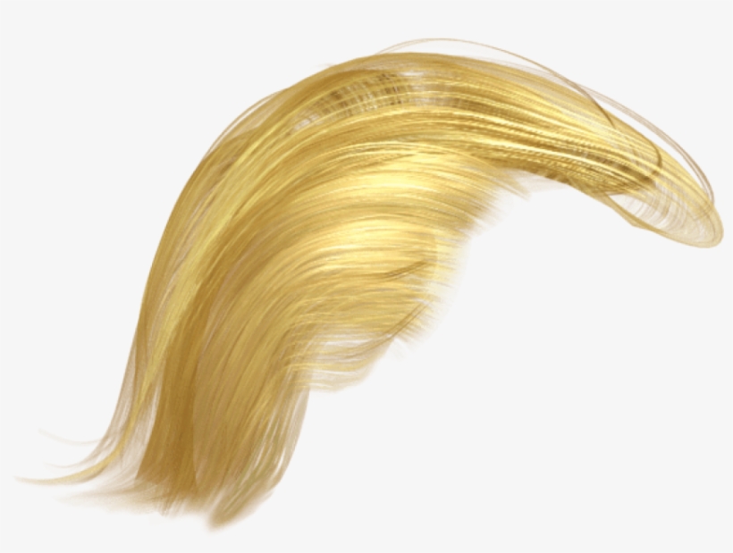 Trump's Hair Png - Donald Trump Hair Png Transparent, transparent png #1457265