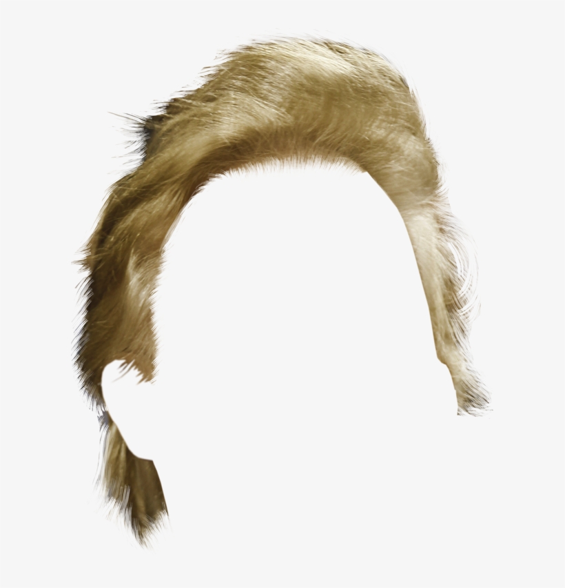 Clip Royalty Free Download S - Trump's Hair, transparent png #1457288