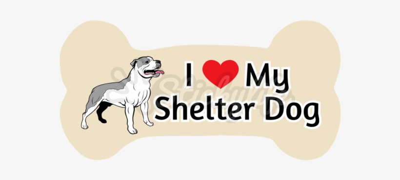 Shelter Dog Car Dog Bone Magnet - Companion Dog, transparent png #1457482