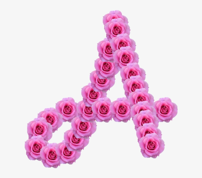 Alfabeto Decorativo Rosas Png - Garden Roses, transparent png #1458063