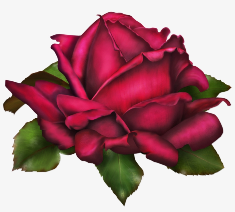 Summer Roses, transparent png #1458067