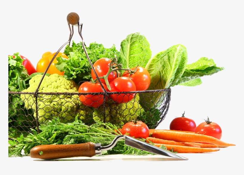 Vegetable Png Image - Vegetable, transparent png #1458556