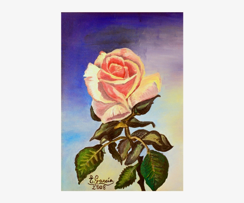 1 Rosa Rosae - Floribunda, transparent png #1458557