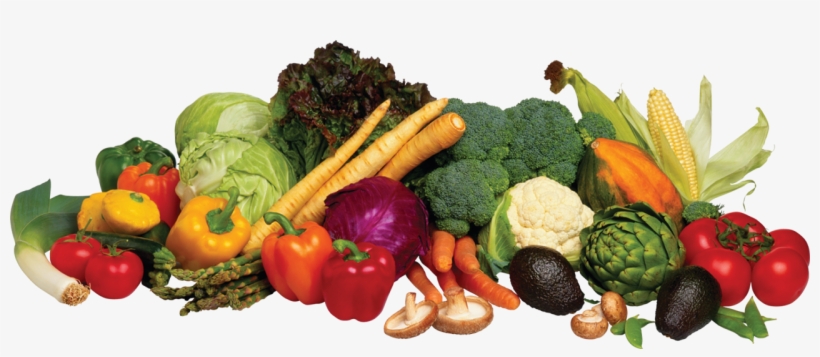 Success - Fight Fatigue: Eat For Energy And Fight Fatigue Throughout, transparent png #1458605