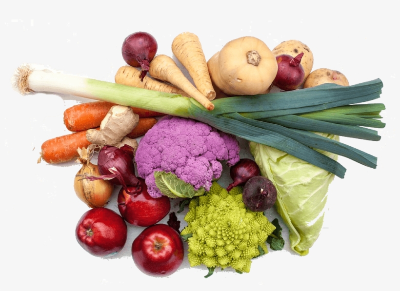 Vegetable Gardening - Ultimate Diabetic Meal Planner And Guide: 904 Pages, transparent png #1458623