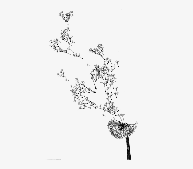 Common Fashion Illustration Watercolor Dandelions Sketch Free